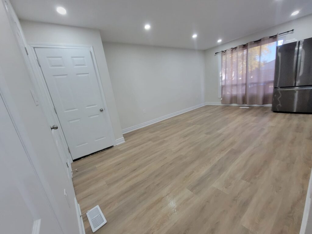 Basement Renovation